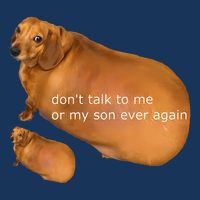 Funny DonT Talk To Me Or My Son Ever Again Geek Dog Meme Infant Baby Jersey Bodysuit