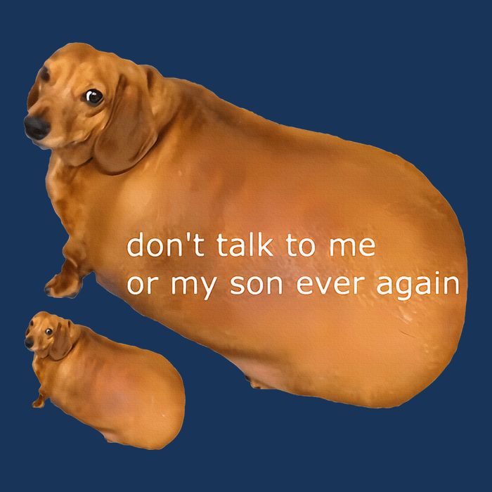 Funny DonT Talk To Me Or My Son Ever Again Geek Dog Meme Infant Baby Jersey Bodysuit