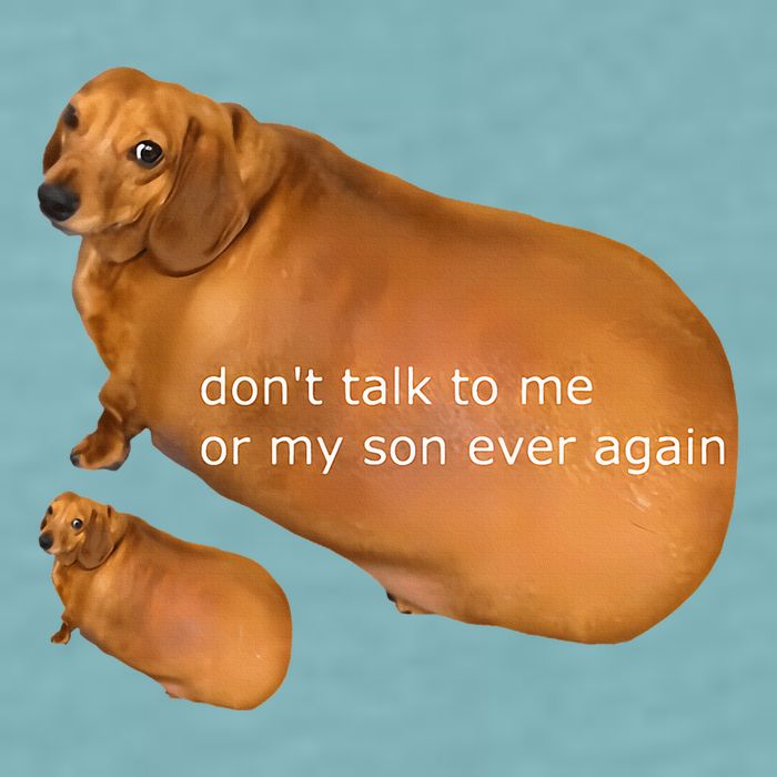 Funny DonT Talk To Me Or My Son Ever Again Geek Dog Meme Sueded Cloud Jersey T-Shirt