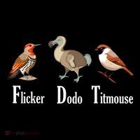 Flicker Dodo Titmouse Funny Wool Snapback Cap