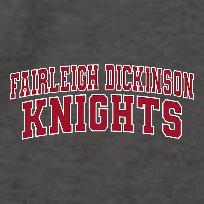 Fairleigh Dickinson University Knights 02 Vector Backpack