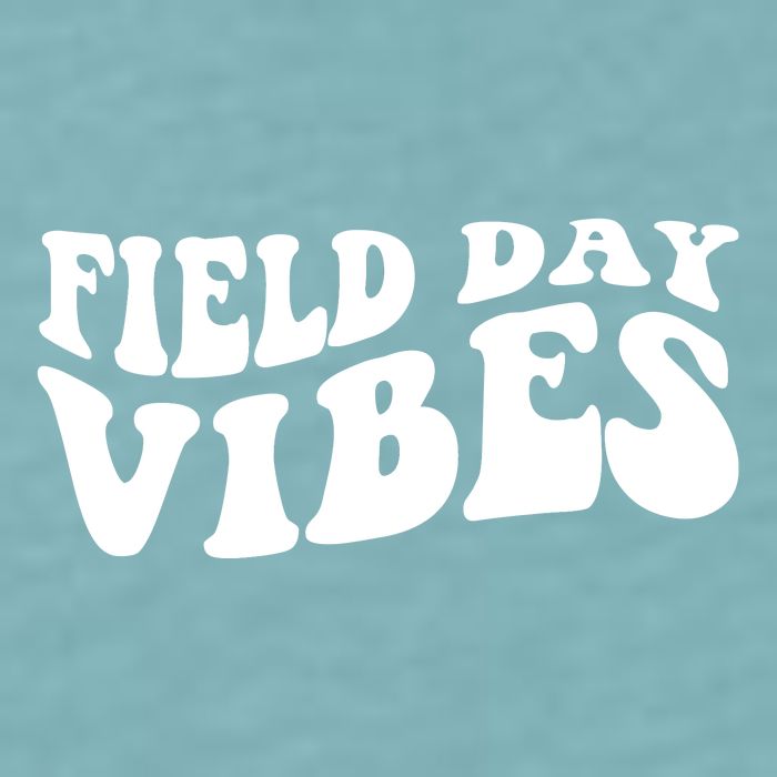 Field Day Vibes Retro Sueded Cloud Jersey T-Shirt
