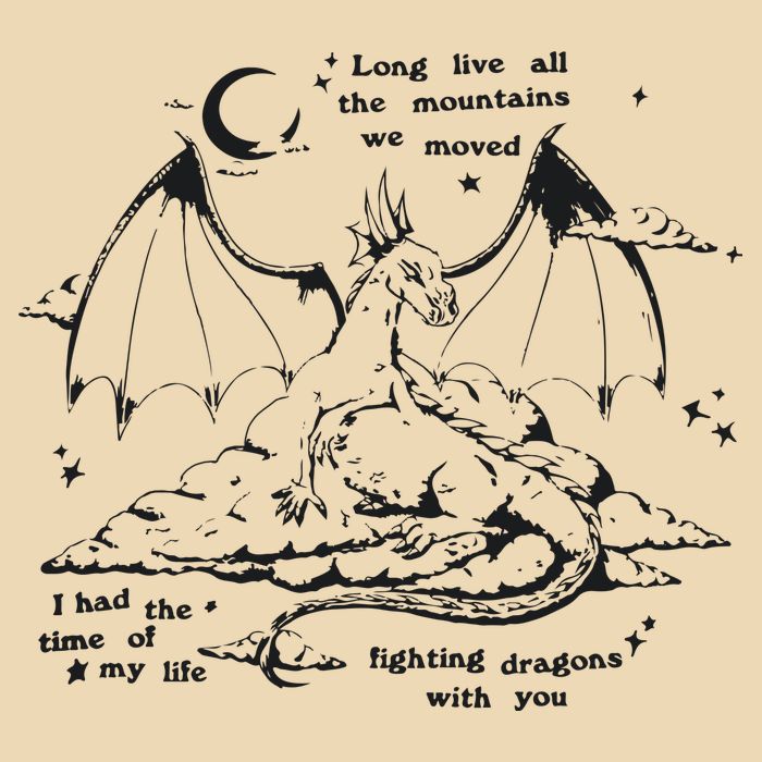 Fighting Dragons With You Speak Now TV Zip Tote Bag