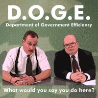 Funny D.O.G.E. What Would You Say You Do Here? Legacy Tie Dye Trucker Hat