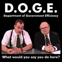 Funny D.O.G.E. What Would You Say You Do Here? Drawstring Bag
