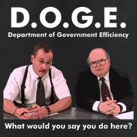 Funny D.O.G.E. What Would You Say You Do Here? 25L Jumbo Tote