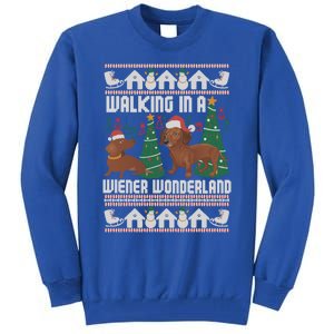 Funny Dachshund Walking In A Wiener Wonderland Family Pets Great Gift Tall Sweatshirt