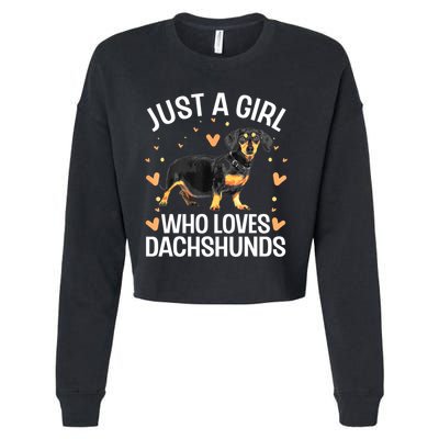 Funny Dachshund Wiener Dog Lover Gift Cropped Pullover Crew