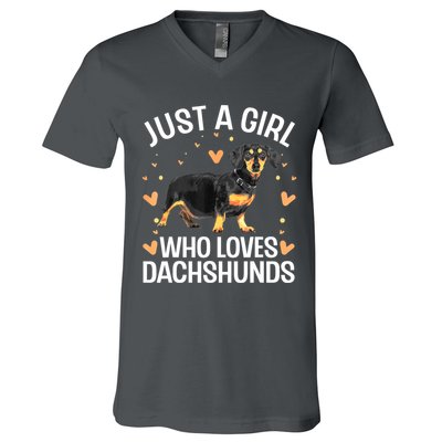 Funny Dachshund Wiener Dog Lover Gift V-Neck T-Shirt