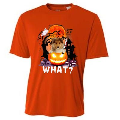 Funny Dog What? Rough Collie With Knife Halloween Costume Cooling Performance Crew T-Shirt