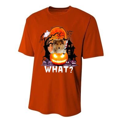 Funny Dog What? Rough Collie With Knife Halloween Costume Performance Sprint T-Shirt