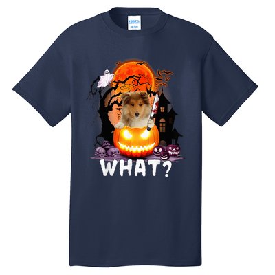 Funny Dog What? Rough Collie With Knife Halloween Costume Tall T-Shirt