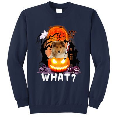 Funny Dog What? Rough Collie With Knife Halloween Costume Tall Sweatshirt