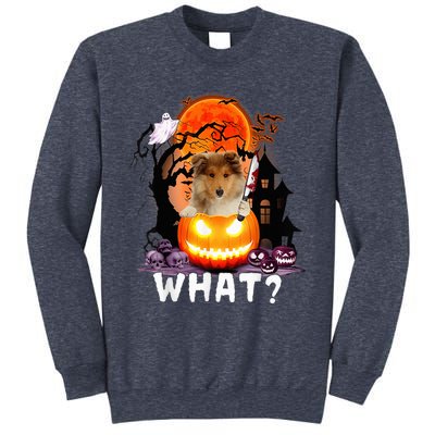 Funny Dog What? Rough Collie With Knife Halloween Costume Sweatshirt