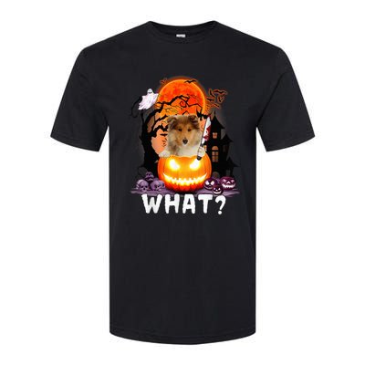 Funny Dog What? Rough Collie With Knife Halloween Costume Softstyle CVC T-Shirt