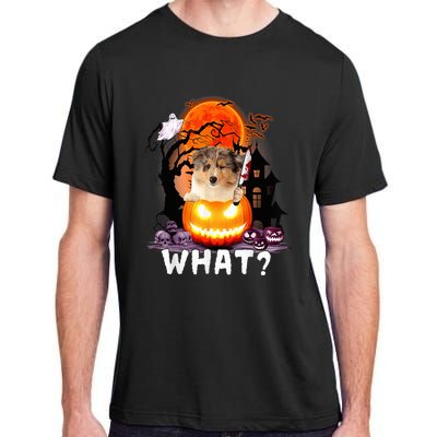 Funny Dog What? Rough Collie With Knife Halloween Costume Adult ChromaSoft Performance T-Shirt