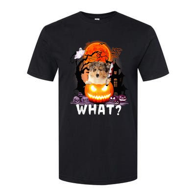 Funny Dog What? Rough Collie With Knife Halloween Costume Softstyle CVC T-Shirt