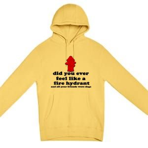 Funny Did You Ever Feel Like A Fire Hydrant Premium Pullover Hoodie