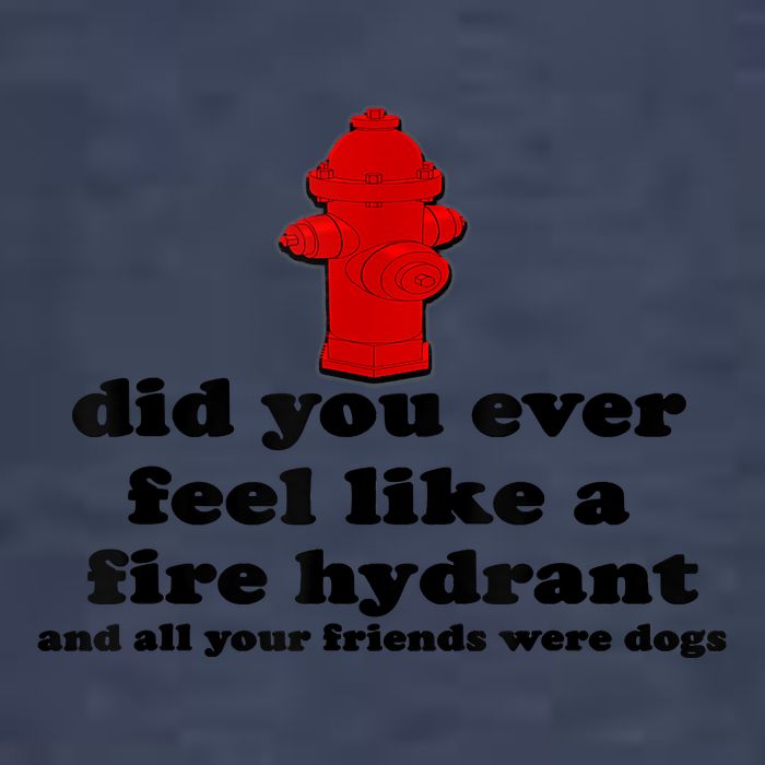 Funny Did You Ever Feel Like A Fire Hydrant Pom Pom 12in Knit Beanie