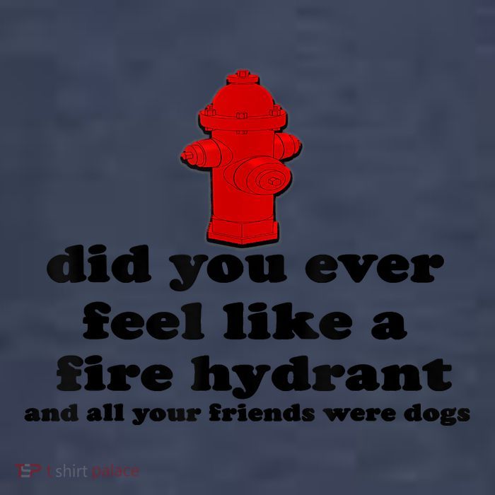 Funny Did You Ever Feel Like A Fire Hydrant Kids T-Shirt