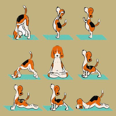 Funny Dog Yoga Pose Lover Namaste Gift Fitness Outfit T-Shirt