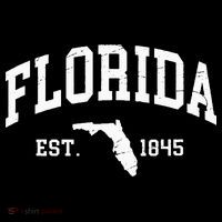 Florida Est 1845 Distressed Worn Design Classic Premium T-Shirt