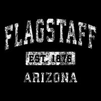 Florida Est. 1845 Distressed Worn Design Classic Impact Tech Backpack