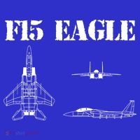 F15 Eagle Airplane Pilot Button