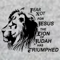 Fear Not For Jesus The Lion Of Judah Has Triumphed Tall Long Sleeve T-Shirt