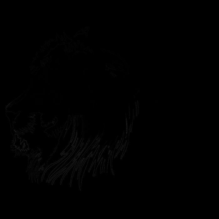 Fear Not For Jesus The Lion Of Judah Has Triumphed Mug