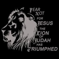 Fear Not For Jesus The Lion Of Judah Has Triumphed 16 in Basic Backpack