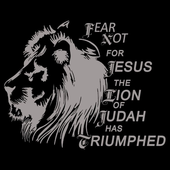Fear Not For Jesus The Lion Of Judah Has Triumphed 16 in Basic Backpack