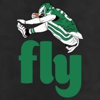 Fly Eagle Birds Football Fan 7 Panel Mesh Trucker Snapback Hat
