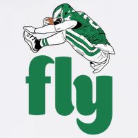 Fly Eagle Birds Football Fan Apron