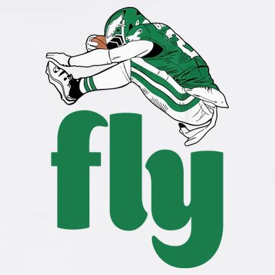 Fly Eagle Birds Football Fan T-Shirt