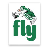 Fly Eagle Birds Football Fan Poster