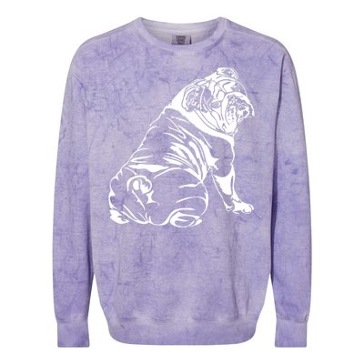 Funny English Bulldog Dog Hund Tee Gift Colorblast Crewneck Sweatshirt