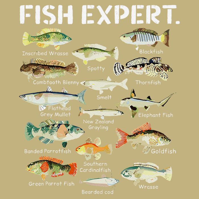 Fish Expert Cute Fish Child Fishing Polo