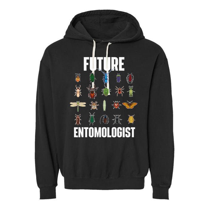 Future Entomologist Entomology Insect Lover Bug Collector Garment-Dyed Fleece Hoodie