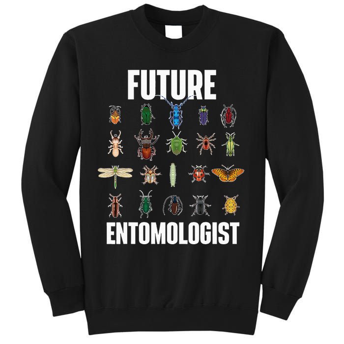 Future Entomologist Entomology Insect Lover Bug Collector Sweatshirt