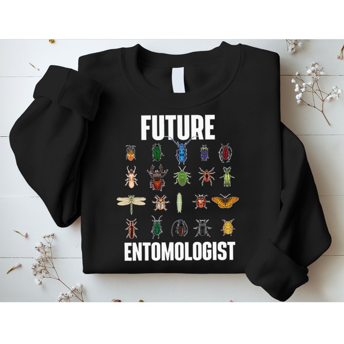 Future Entomologist Entomology Insect Lover Bug Collector Sweatshirt