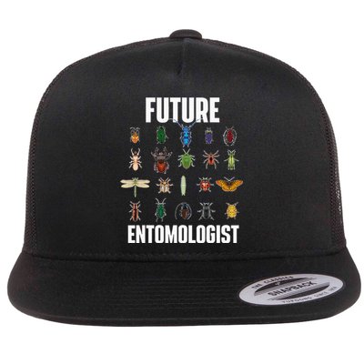 Future Entomologist Entomology Insect Lover Bug Collector Flat Bill Trucker Hat