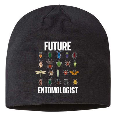 Future Entomologist Entomology Insect Lover Bug Collector Sustainable Beanie