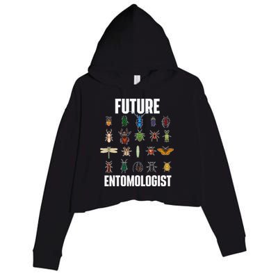 Future Entomologist Entomology Insect Lover Bug Collector Crop Fleece Hoodie
