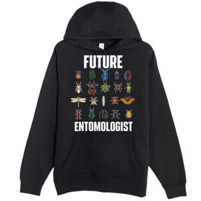 Future Entomologist Entomology Insect Lover Bug Collector Premium Pullover Hoodie