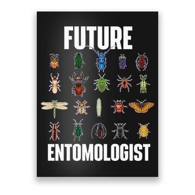 Future Entomologist Entomology Insect Lover Bug Collector Poster