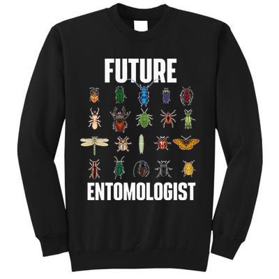 Future Entomologist Entomology Insect Lover Bug Collector Tall Sweatshirt