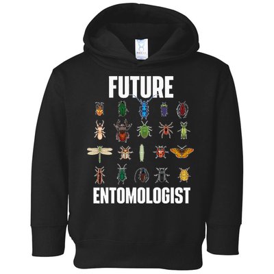 Future Entomologist Entomology Insect Lover Bug Collector Toddler Hoodie