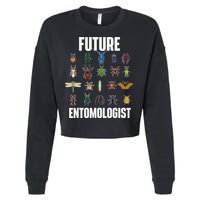 Future Entomologist Entomology Insect Lover Bug Collector Cropped Pullover Crew