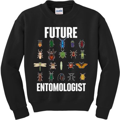 Future Entomologist Entomology Insect Lover Bug Collector Kids Sweatshirt